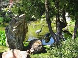 Golden Gate Park 17